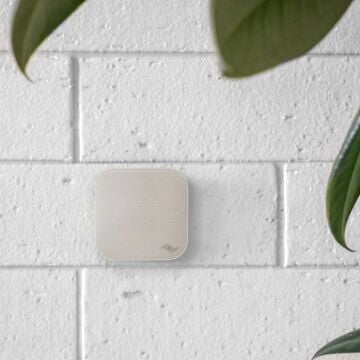 Wall Mount – Bone