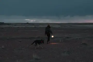 Luci Charge 360 Güneş Enerjili Kamp Lambası & Powerbank