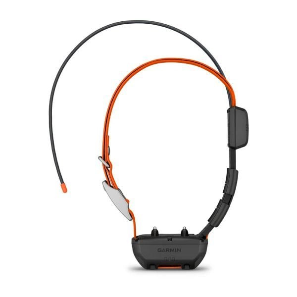 Garmin Alpha TT 25  - Köpek Tasması