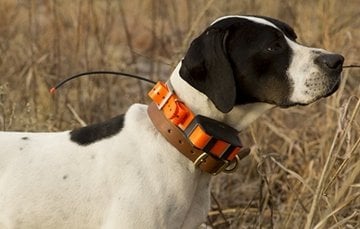 Garmin Astro 320 Gps T5 Bundle Köpek Takip Sistemi