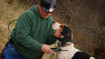 Garmin Astro 320 Gps T5 Bundle Köpek Takip Sistemi