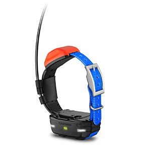 Garmin T5 Köpek Takip Tasması | Köpek Takip Sistemleri |