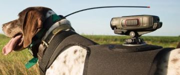 Garmin Dog Harnesses (VIRB)