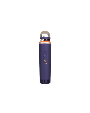 TheraFace Depuffing Wand Indigo