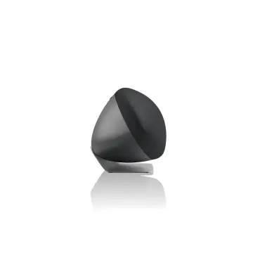 Zeppelin Pro Edition Kablosuz Hi-Fi Hoparlör - Space Grey